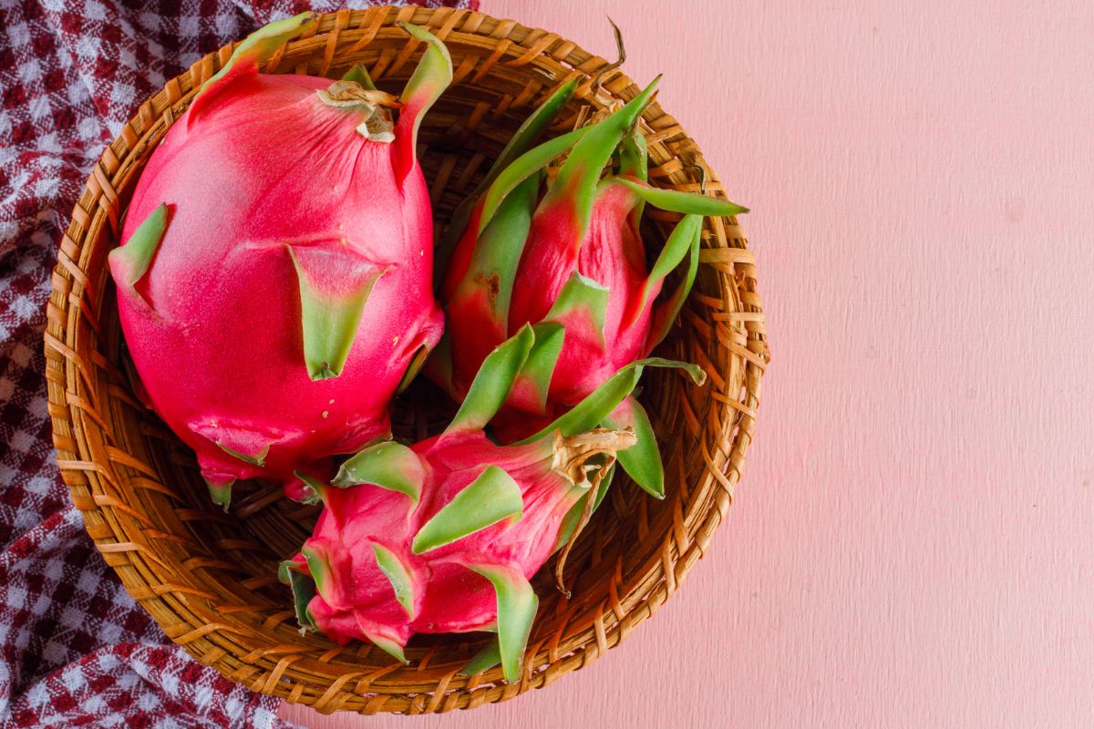 Ilustrasi buah naga. 