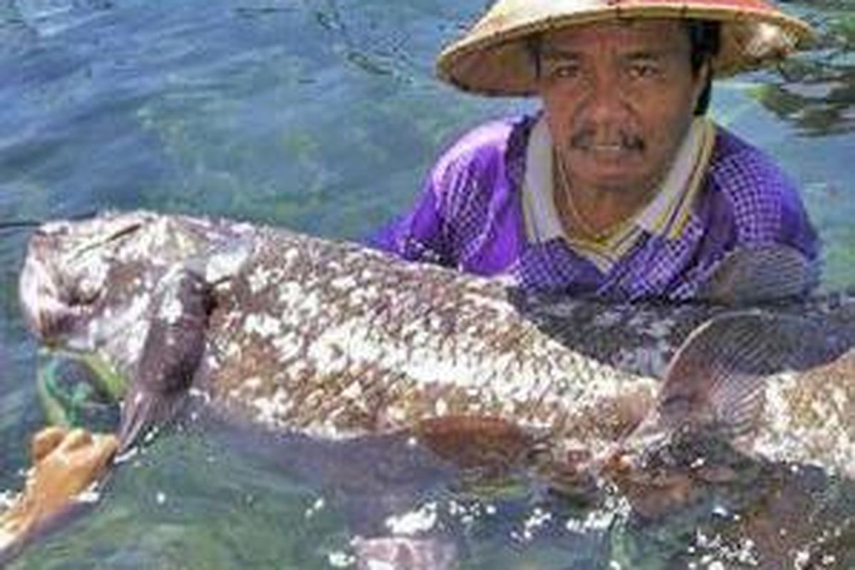 Yustinus dan ikan purba 