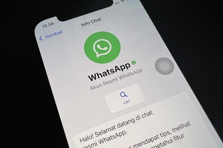 Akun resmi WhatsApp yang ramai disangka hacker.