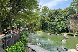 Tiket Masuk Ragunan Diusulkan Naik Jadi Rp 10.000, Pramono: Segera Saya Putuskan