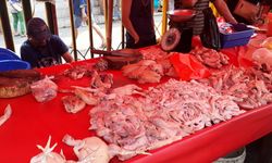 Stok Produksi Cukup, Harga Daging Ayam Berangsur Stabil