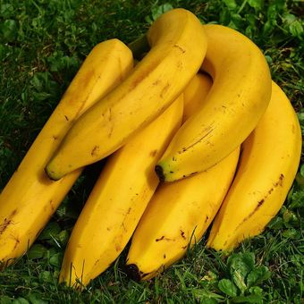 Ilustrasi pisang, salah satu buah penurun kolesterol dan asam urat tinggi