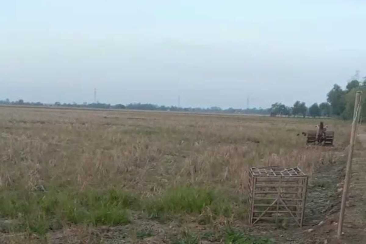 Kekeringan di Desa Lemahduwur, Kecamatan Pangkalan, Karawang, Jawa Barat.