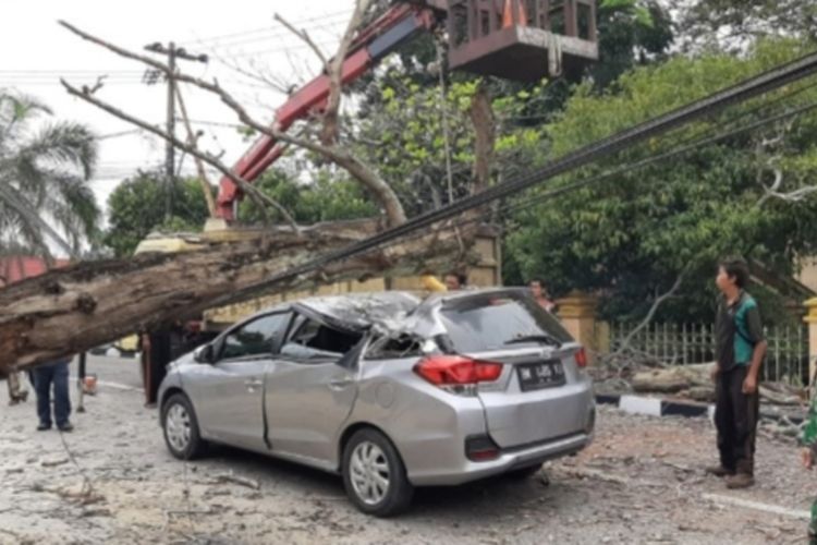 Pohon tumbang menimpa mobil Honda Mobilio di Jalan Dr Sutomo, Kecamatan Limapuluh, Kota Pekanbaru, Riau, Kamis (28/10/2021).