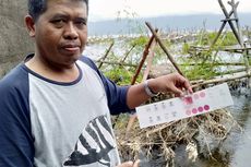 Keluh Kesah Nelayan Danau Kerinci, Jumlah Tangkapan Menurun Drastis