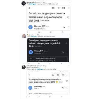 Tangkapan layar pertanyaan warganet mengenai e-mail survei mengatasnamakan BKN