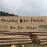 Pengertian Hutan Produksi dan Ciri-cirinya