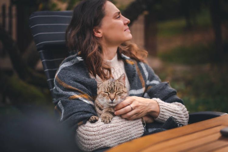 Cara memperkuat ikatan dengan kucing peliharaan.