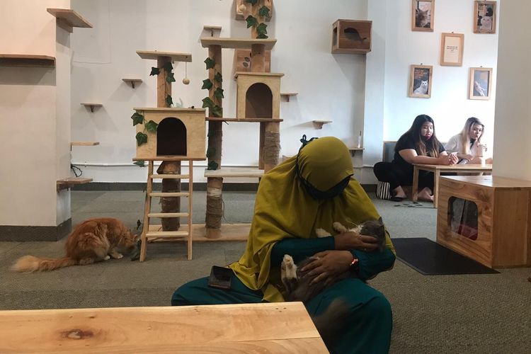 Salah satu pengunjung kafe, Sarah bersama salah satu kucing di Pawpaw Cafe, di Surakarta, Jawa Tengah, Sabtu (9/1/2021).