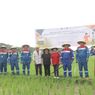 Pertamina Geothermal Kembangkan Pupuk Ramah Lingkungan dari Panas Bumi