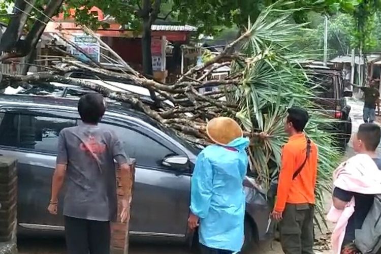 Mobil pengunjung pantai Pulang Sawal Gunungkidul Tertimpa Pohon Pandan. Jumat (23/12/2022)