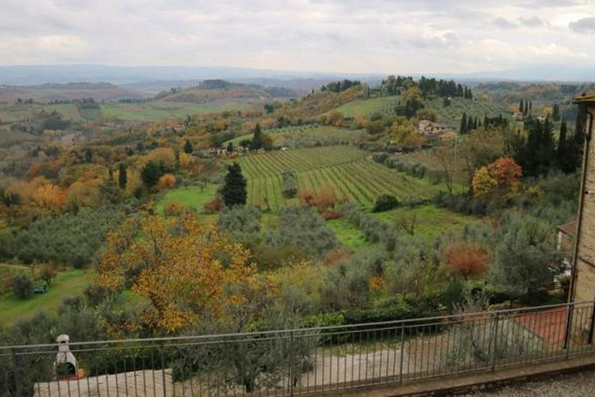 Hamparan perkebunan anggur dan pohon zaitun yang mengelilingi Kastil Vicchiomaggio, Greve in Chianti, Tuscany, Italia.