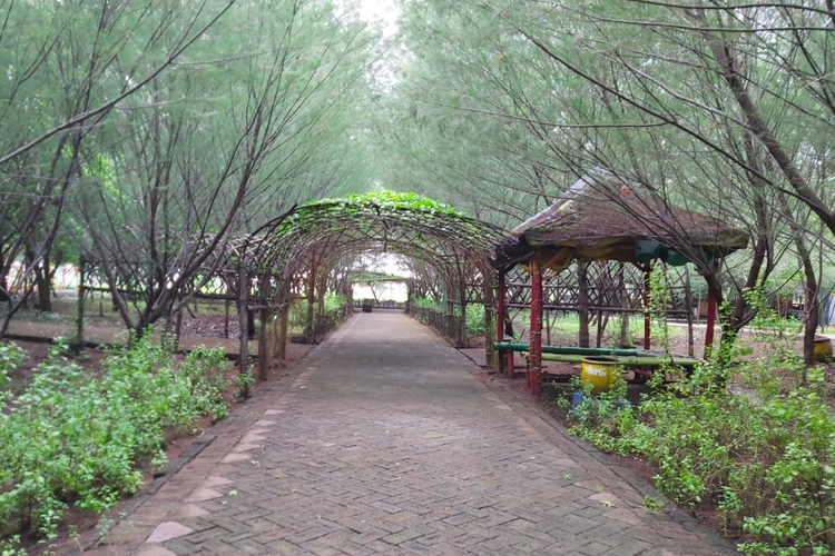 Taman Hutan Raya (Tahura) Pakal, Surabaya, salah satu wisata dekat Stadion Gelora Bung Tomo Surabaya.