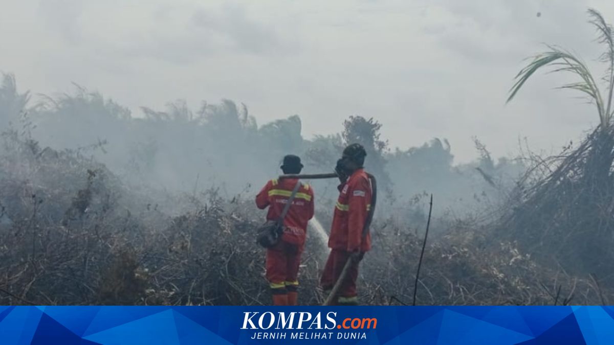 Karhutla Membara di Indragiri Hulu, Hampir 10 Hektar Lahan Terbakar