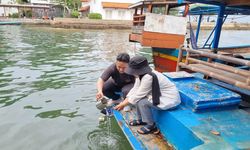 Cemaran Mikroplastik Ditemukan Tersebar di 3 Pulau Kepulauan Seribu