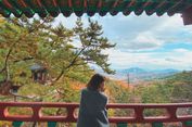 Mengenal Templestay di Korea Selatan, Wisata Budaya di Kuil Buddha