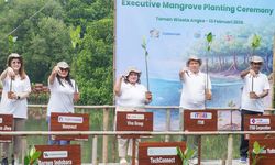 Perkuat Komitmen ESG, Viva Apotek Tanam Mangrove di Angke