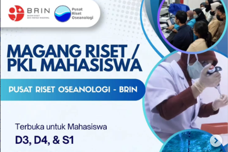 Pusat Riset Oseanologi BRIN Buka Lowongan Magang Penelitian bagi Mahasiswa D3-S1, Ini Syaratnya