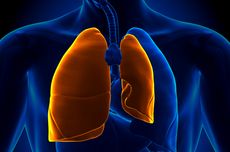 Mengenal Pneumothorax: Penyebab, Gejala, dan Pengobatannya