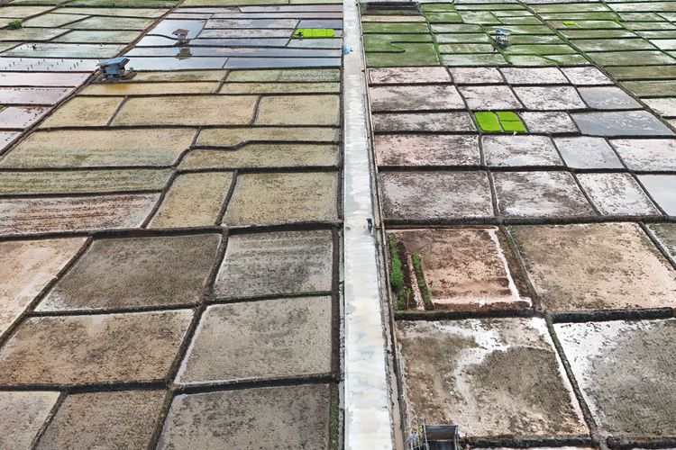 Foto udara jalan usaha tani yang dibangun dengan menggunakan beton membentang di kawasan pertanian di Kabupaten Morowali, Sulawesi Tengah, Minggu (25/2/2024). Pembangunan jalan di kawasan produksi  pertanian tersebut untuk memudahkan akses petani serta distribusi hasil pertanian.