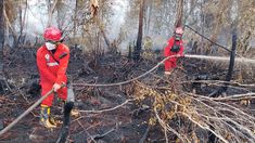 Daftar Wilayah Rawan Karhutla di Jateng 2026, Blora hingga Wonogiri Masuk Zona Merah