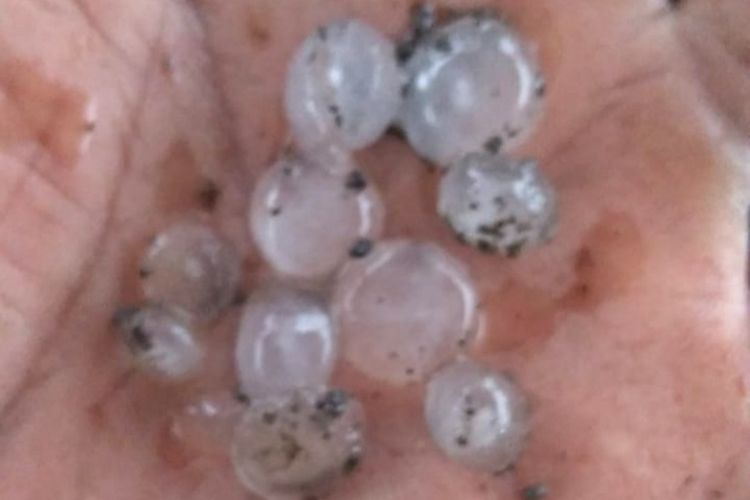 Ukuran hujan es yang turun di Bangunkerto, Kecamatan Turi, Kabupaten Sleman pada Selasa 2 Maret 2021.