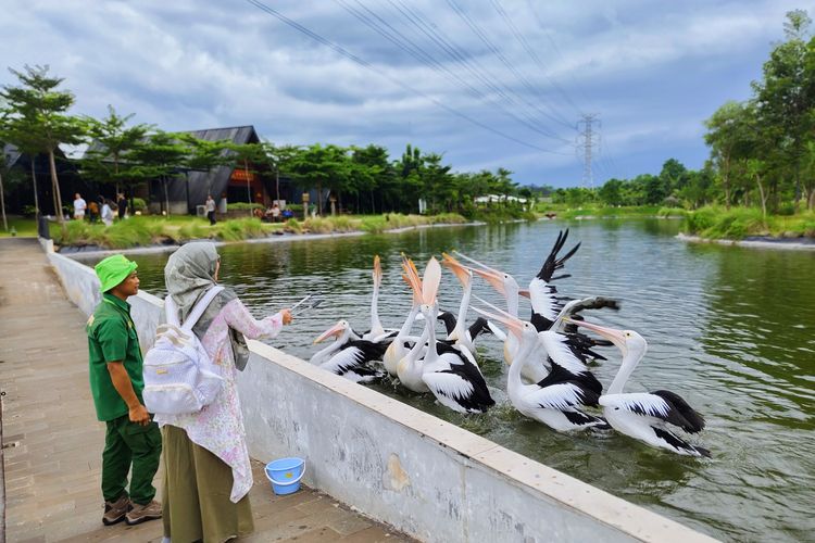 Aviary Park Indonesia, ekowisata dan kawasan pelestarian satwa baru buka di Tangerang Selatan, Senin (25/2/2025). 