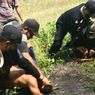 Keberadaan Brimob Terkait Ricuh Berujung Tembak di Kebun Sawit Ketapang, Ini Penjelasan Polda Kalbar 