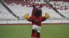 Batal Jadi Tuan Rumah Piala Dunia U-20, Pakar Unair: Tragedi buat Indonesia