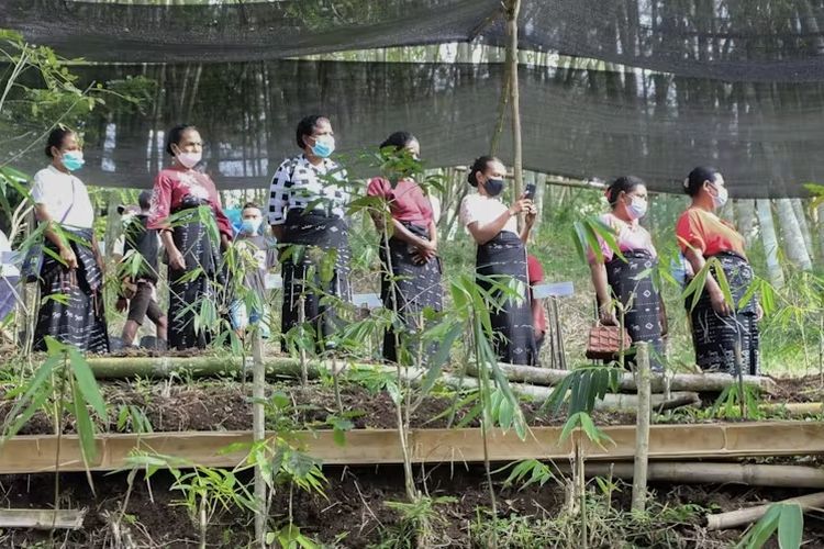 Perempuan di Kabupaten Ngada, NTT, yang sudah akrab dengan bambu.