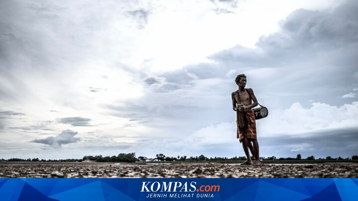 Ancaman Kekeringan Intai 18 Daerah di Jateng, DPRD Dorong Konservasi Hutan dan Sumur Resapan