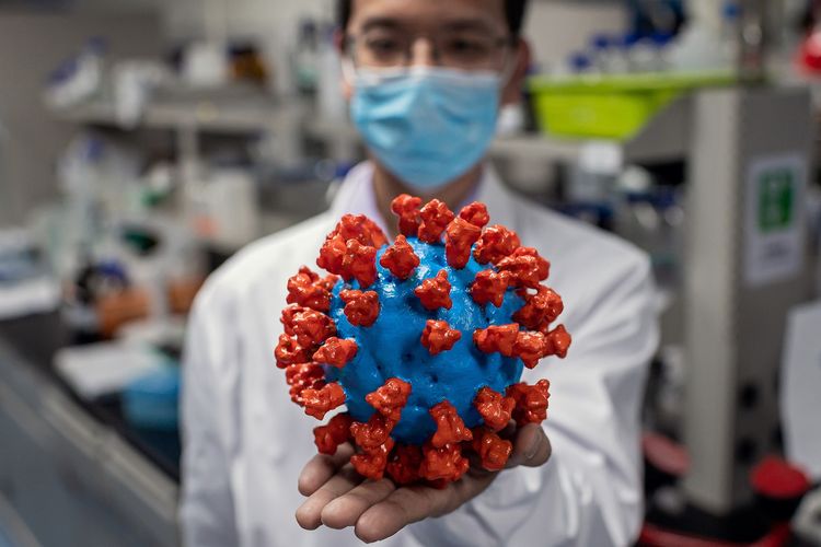 In this picture taken on April 29, 2020, an engineer shows a plastic model of the COVID-19 coronavirus at the Quality Control Laboratory at the Sinovac Biotech facilities in Beijing. - Sinovac Biotech, which is conducting one of the four clinical trials that have been authorised in China, has claimed great progress in its research and promising results among monkeys. (Photo by NICOLAS ASFOURI / AFP) / TO GO WITH Health-virus-China-vaccine,FOCUS by Patrick Baert