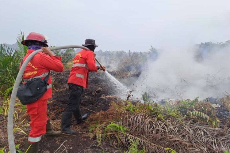 Petugas Manggala Agni berjibaku memadamkan titik api karhutla, di Desa Tanjung Kuras, Kecamatan Sungai Apit, Kabupaten Siak, Riau, Jumat (15/3/2024).