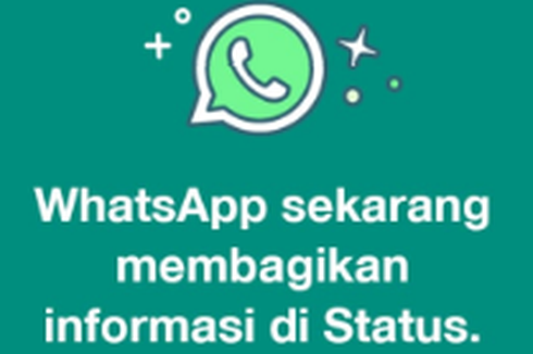 Begini Isi dan Tampilan Pemberitahuan WhatsApp yang Muncul di Status Pengguna