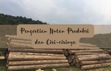 Pengertian hutan produksi adalah hutan yang difokuskan untuk tujuan komersial, yakni pemanfaatan sumber daya hasil hutan.