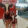 Kementan: Sapi Merah Putih Turunan Friesian Holstein, Ada 80 Ekor