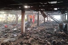 Kebakaran Kandang Ayam di Tuban, Penjaga Patah Tulang karena Jatuh Saat Padamkan Api