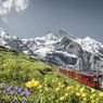 Wisata ke Puncak Jungfraujoch di Swiss, Bisa Naik Gondola