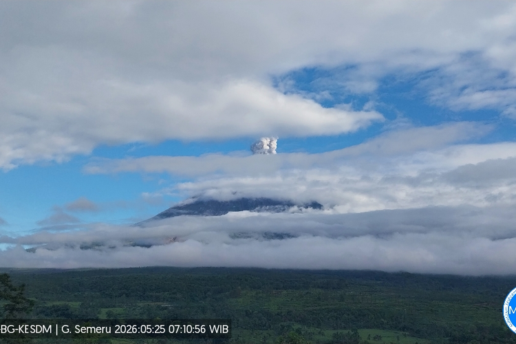 Gunung Semeru Erupsi 30 Kali, Semburkan Asap Setinggi 1.000 Meter