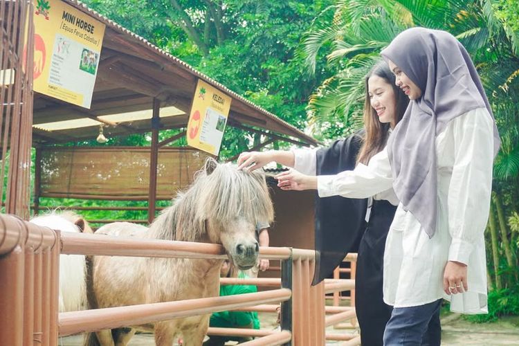 Predator Fun Park Kid Malang