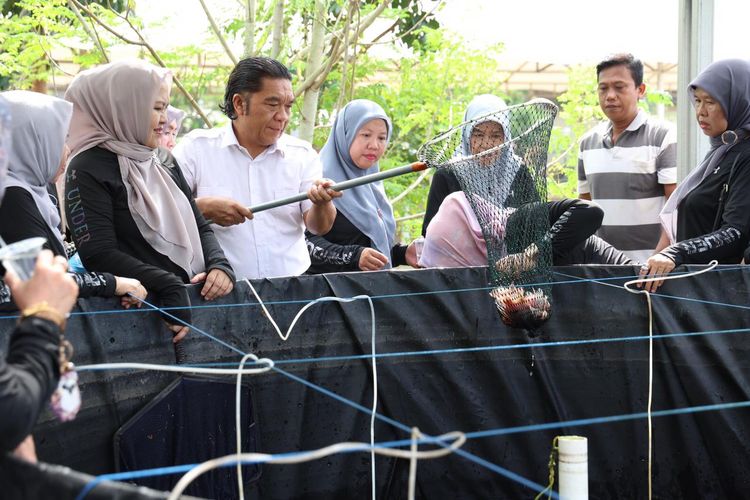 Penjabat (Pj) Gubernur Banten Al Muktabar dalam kegiatan panen ikan nila merah pada bioflok di halaman Gedung Pemberdayaan Kesejahteraan Keluarga (PKK) Provinsi Banten, Kawasan Pusat Pemerintahan Provinsi Banten (KP3B) Curug, Kota Serang, Jumat (5/7/2024).
