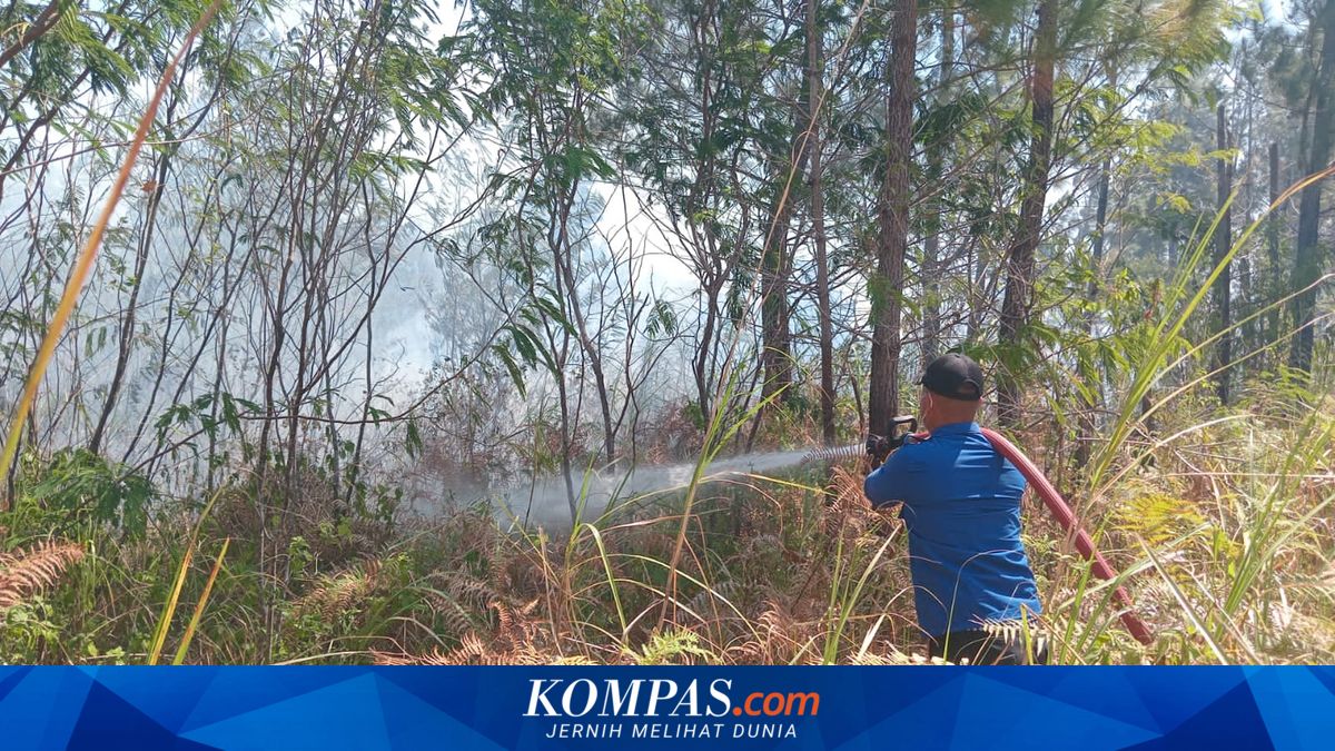 Terkendala Angin Kencang, 3 Hari Karhutla di Gunung Soputan Minahasa Tenggara Belum Padam