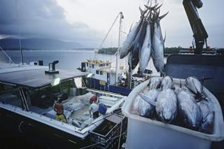 Ilustrasi ekspor ikan