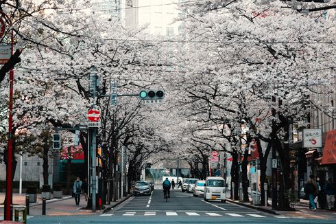 Batik Air Buka Rute ke Jepang, Berangkat dari 5 Kota Ini