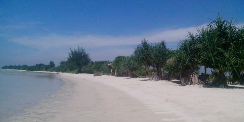 Salah satu pemandangan di pantai Pulau Pari Kepulauan Seribu.  Setiap tahun ada sekitar 200 ribu wisatawan yang datang ke Pulau Pari. Di sini  ada beragam wisata bahari seperti diving, snorkling, jelajah mangrove dan menanam pohon bakau.