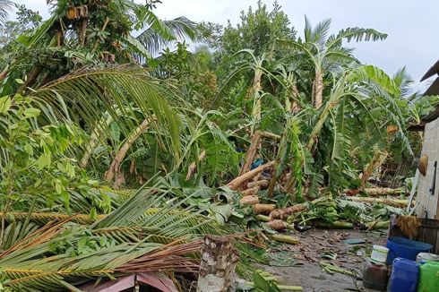 Puting Beliung Rusak Rumah Warga dan Perkebunan di Bangka, 4 KK Mengungsi