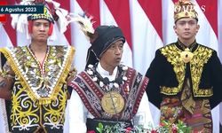 Soal Pidato Kenegaraan Jokowi, IESR: Ekonomi Hijau Perlu Didorong Keras