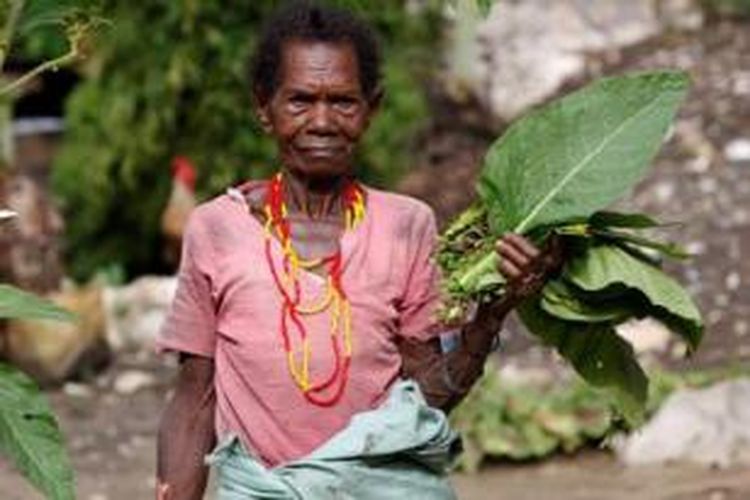Aksamina Kamakaula, warga Kampung Kamaka, Distrik Kaimana, Kaimana, Papua Barat, memetik tembakau untuk dibuat rokok, Minggu (15/2/2009). Di kampung ini sebagian besar masyarakatnya bekerja sebagai nelayan dan berladang.  