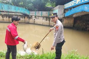 Kebakaran Gudang Pestisida Cemari Sungai Cisadane, Distribusi Air Baku Tangerang Terganggu