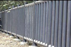 Pagar Way Kambas Hampir Rampung, Konflik Gajah dan Warga Diharapkan Tak Terjadi Lagi